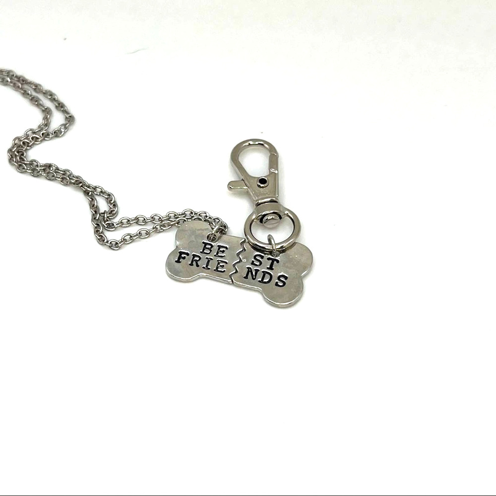 Best Friends Necklace for you and your pet. dog or cat